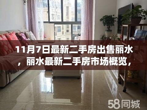 丽水最新二手房市场概览，精选房源出售信息（11月7日更新）