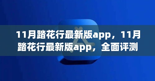 11月踏花行最新版app全面评测与介绍