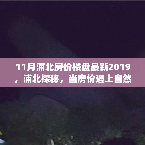 心灵之旅启程时，揭秘浦北房价楼盘最新动态与美景交融