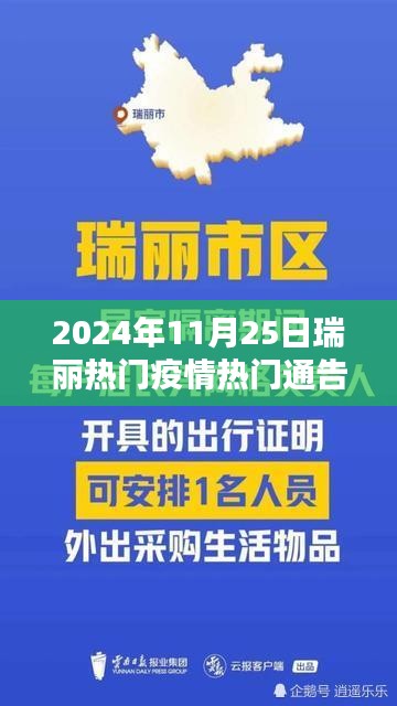 瑞丽疫情背景下的社会关注焦点，分析2024年11月25日瑞丽热门疫情通告