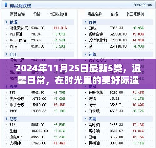 温馨日常的美好际遇，五个小故事回顾时光之美，2024年11月25日最新精选五篇故事分享