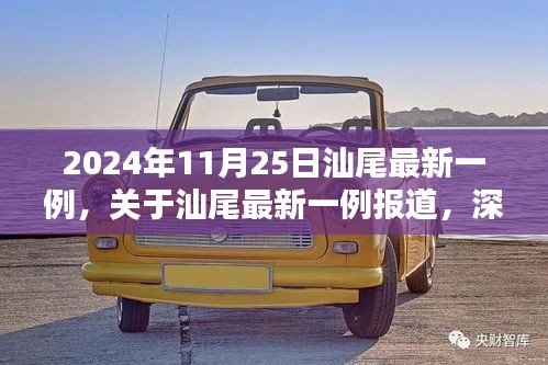 深度解析与科普普及，汕尾最新一例报道（2024年11月25日）