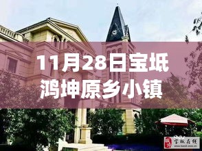 揭秘宝坻鸿坤原乡小镇房价走势，市场分析、最新动态与未来预测