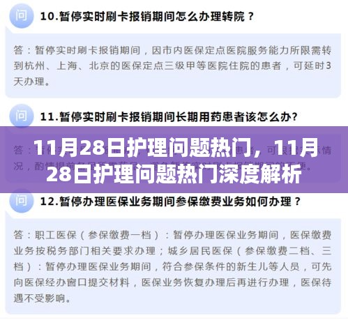 11月28日护理问题热门深度解析与探讨