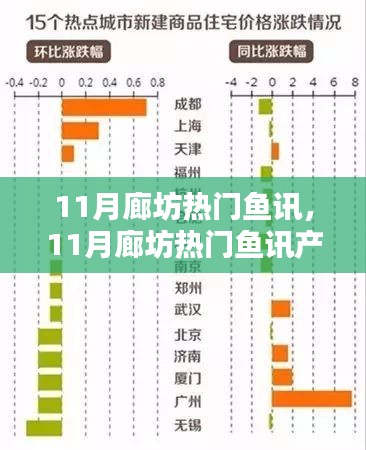 11月廊坊热门鱼讯产品深度评测与介绍