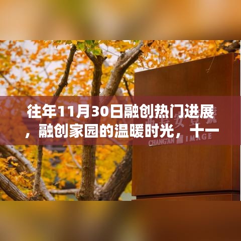 融创家园的温暖时光，十一月三十日的日常进展与故事