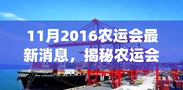 揭秘农运会新篇章，深度解读与最新消息速递（2016年11月）