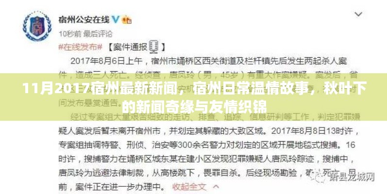 宿州温情故事与秋叶下的新闻奇缘，友情织锦的十一月时光