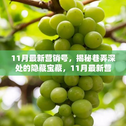 揭秘巷弄深处的隐藏宝藏，探访小巷特色小店的营销之旅（11月最新营销号）