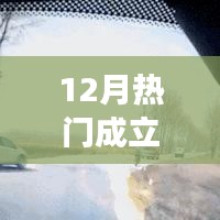 新保险公司的日常故事，友情、家庭与爱的温暖相伴，十二月热门新成立公司一览