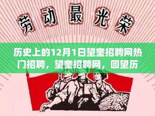 回望历史，望奎招聘网在十二月一日的热门招聘盛事回顾