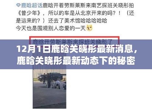 鹿晗与关晓彤的最新动态，秘密角落探秘与独特小店的故事