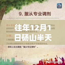 砀山半天班招聘活动回顾，历年盛况一览