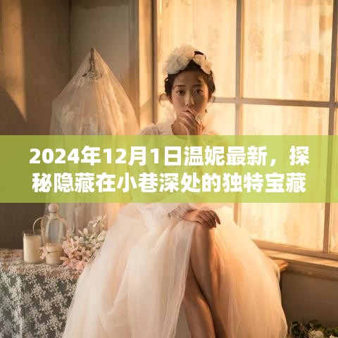 探秘2024年温妮最新宝藏，小巷深处的独特小店