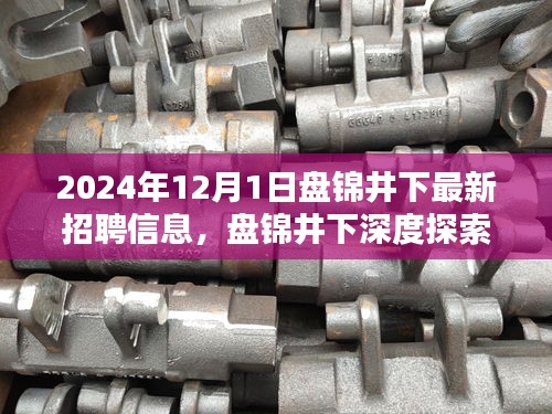 揭秘盘锦井下最新招聘信息，深度探索与影响分析（2024年）