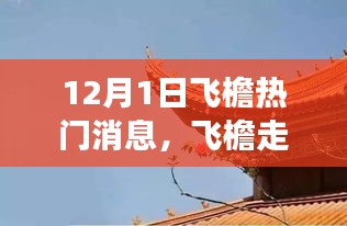 解读飞檐背后的深层意义与争议焦点，热门话题热议，飞檐走壁新动态 12月独家报道