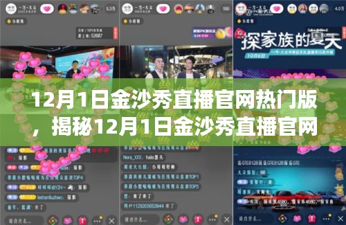 揭秘，12月1日金沙秀直播官网热门版活动亮点与特色解读