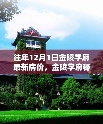 金陵学府秘境，历年12月最新房价揭秘与小巷特色小店探索之旅