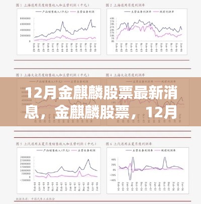 12月金麒麟股票最新动态及领域地位深度解析