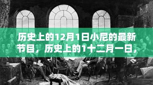 历史上的12月1日小尼节目回顾，掀起热潮的瞬间，小红书重温精彩瞬间