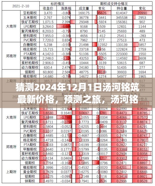 汤河铭筑2024年12月最新价格预测，展望未来的房价之旅