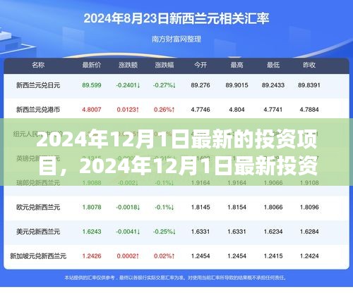 引领未来投资趋势，揭秘2024年最新投资项目机遇