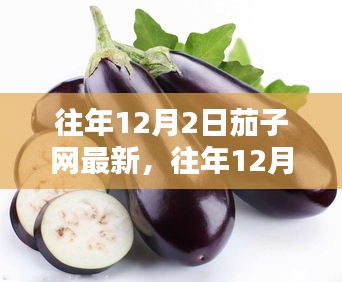 往年12月2日茄子网最新，往年12月2日茄子网最新资讯，热门话题一网打尽