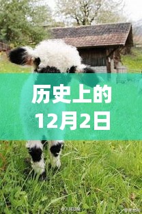 第1120页