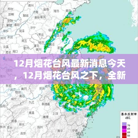 智能烟花预警系统应对12月烟花台风，科技与生活融合之惊艳亮相