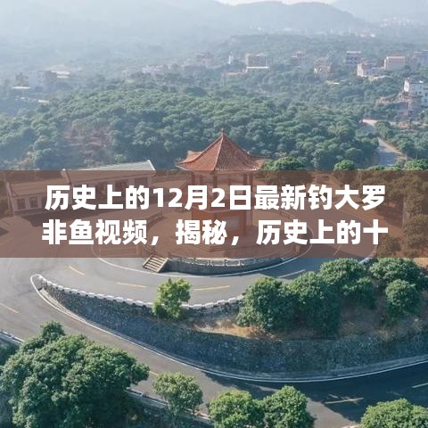 揭秘钓大罗非鱼新技巧，最新视频分享，历史上的十二月二日探寻之旅