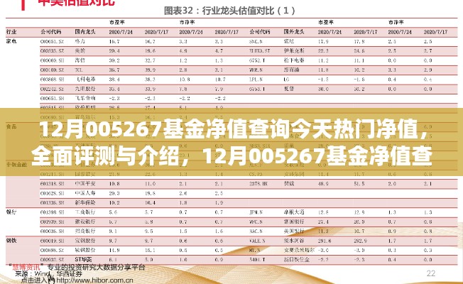 今日热门净值产品解析，全面评测与介绍，12月005267基金净值查询