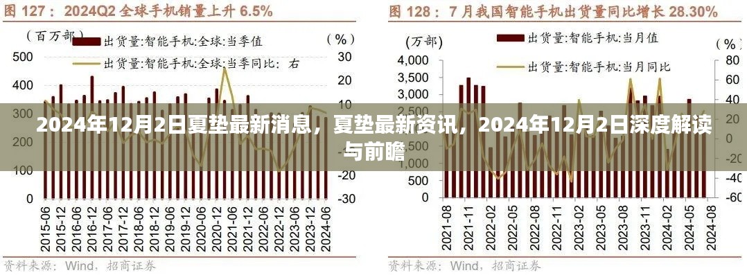 夏垫最新资讯深度解读与前瞻，2024年12月2日最新消息