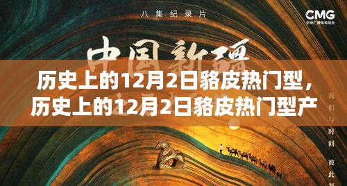 历史上的12月2日貉皮热门产品全面评测与介绍