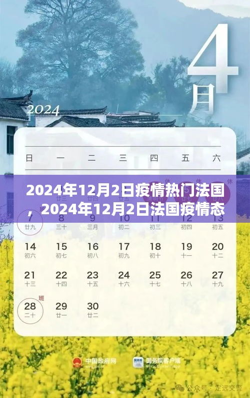 法国疫情热议话题探讨，2024年12月2日的态势与热议话题分析