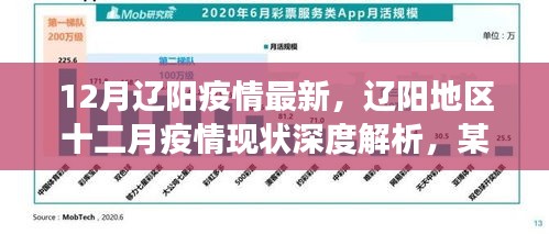 辽阳地区十二月疫情深度解析与最新现状，某某观点的视角探讨