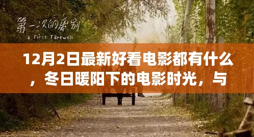 冬日暖阳下的电影之旅，与好友共赴温馨电影时光，最新热门电影推荐