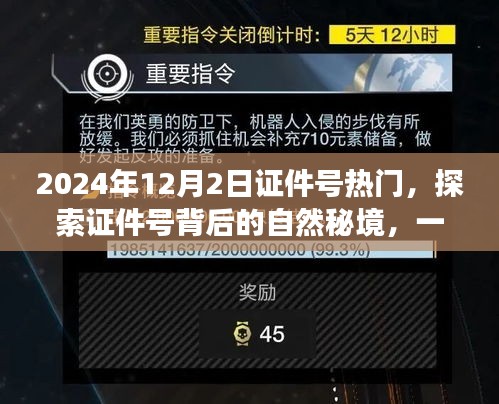 探索证件号背后的自然秘境，一场寻找内心平静的奇妙旅程在2024年12月2日迎来高潮