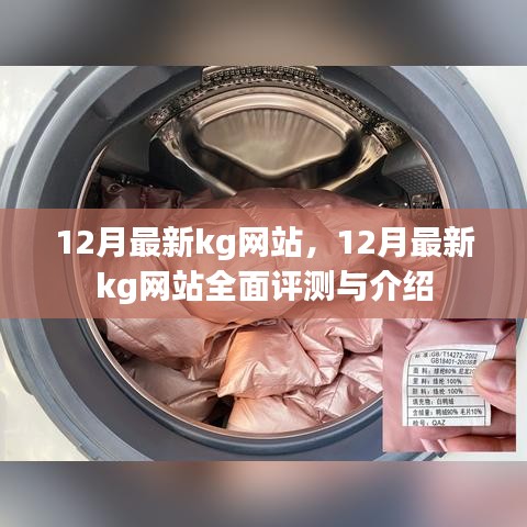 12月最新kg网站全面评测与介绍，最新动态、功能亮点一网打尽