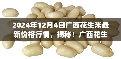 广西花生米最新行情解析，市场走势揭秘与行情预测（2024年12月4日）