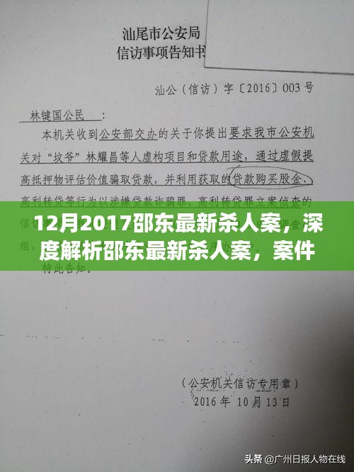 邵东最新杀人案深度解析，案件特性、调查进展与司法评估分析