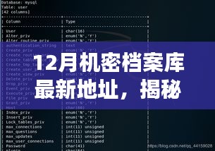 揭秘最新十二月机密档案库，犯罪行为探讨与观点阐述