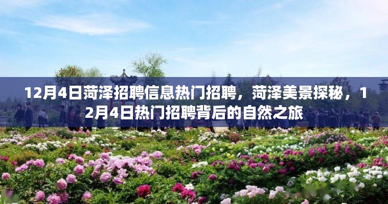 菏泽招聘热潮背后的自然美景探秘之旅