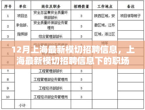 上海最新模切招聘信息揭秘，职场机遇与挑战展望