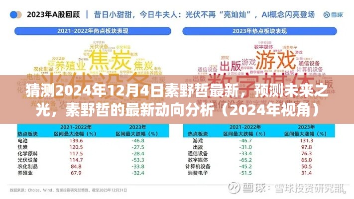 素野哲最新动向分析，预测未来之光（2024年视角）