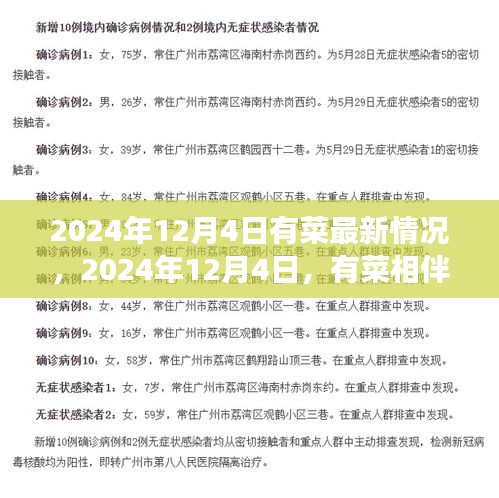 心灵之旅启程，有菜相伴的2024年12月4日最新动态