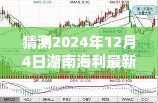 湖南海利展望，揭秘未来轮廓，揭秘湖南海利在2024年12月4日的最新动态与前景展望