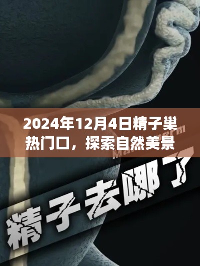 探索自然美景之旅，精子巢热门口的奇妙探索之旅（2024年）