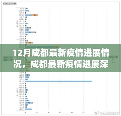 成都十二月疫情最新进展深度解析，特性、体验、竞品对比与用户洞察