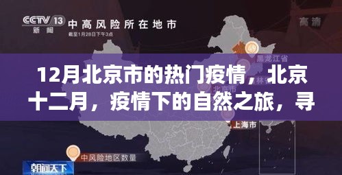 北京十二月疫情下的自然之旅，寻找内心宁静与力量