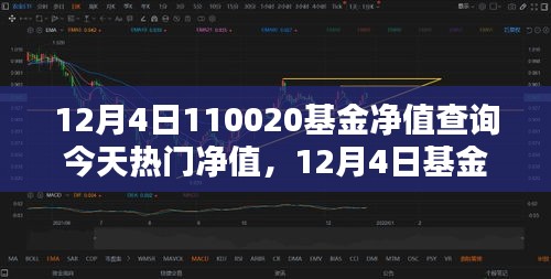 12月4日110020基金净值查询今天热门净值，12月4日基金净值查询全攻略，轻松掌握热门基金净值查询步骤